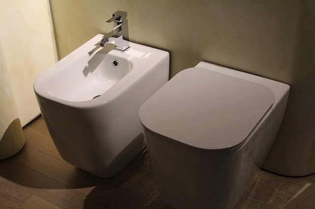 Toilette mit Dusch-WC-Funktion im Badezimmer